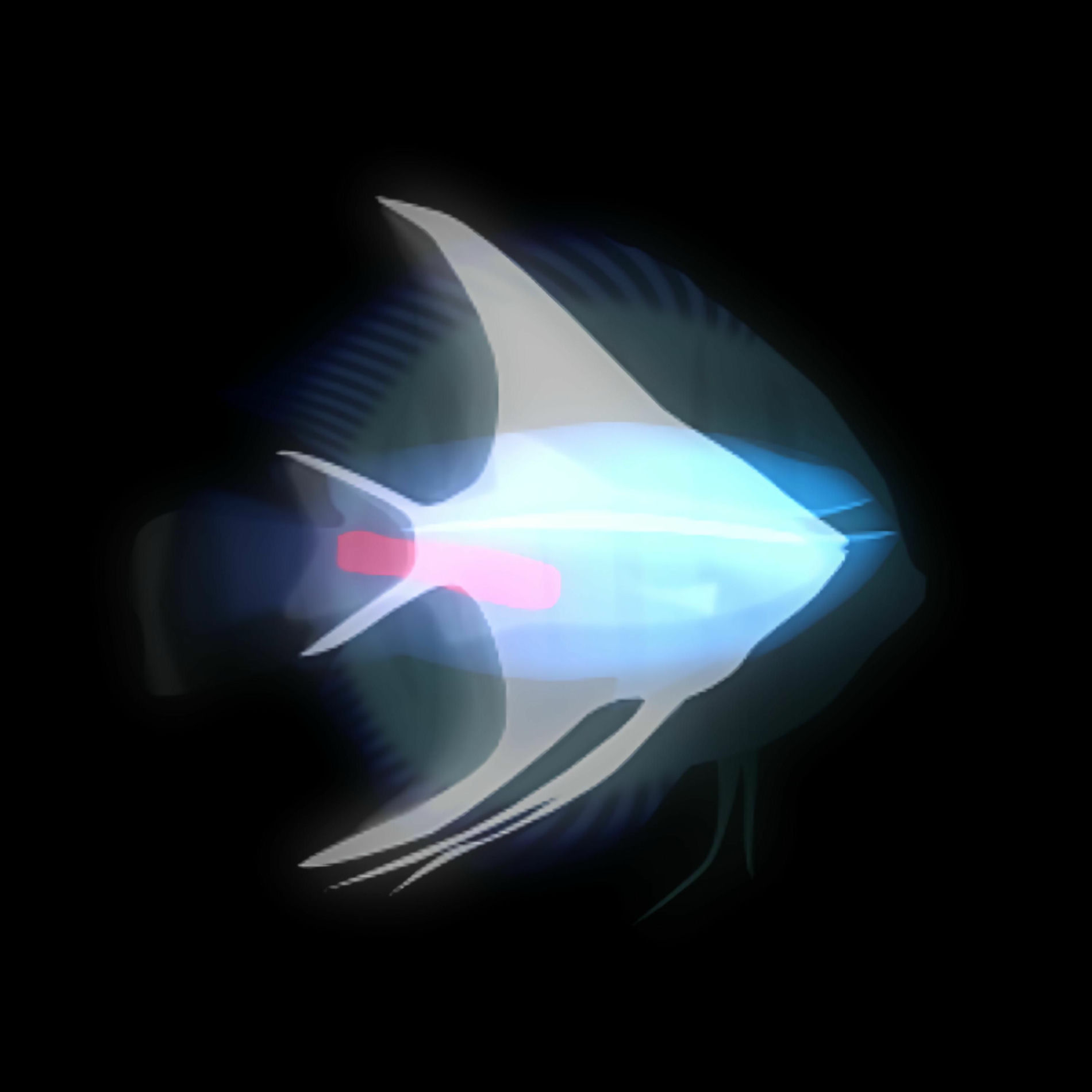 Album cover of 魚の夜夢の夜