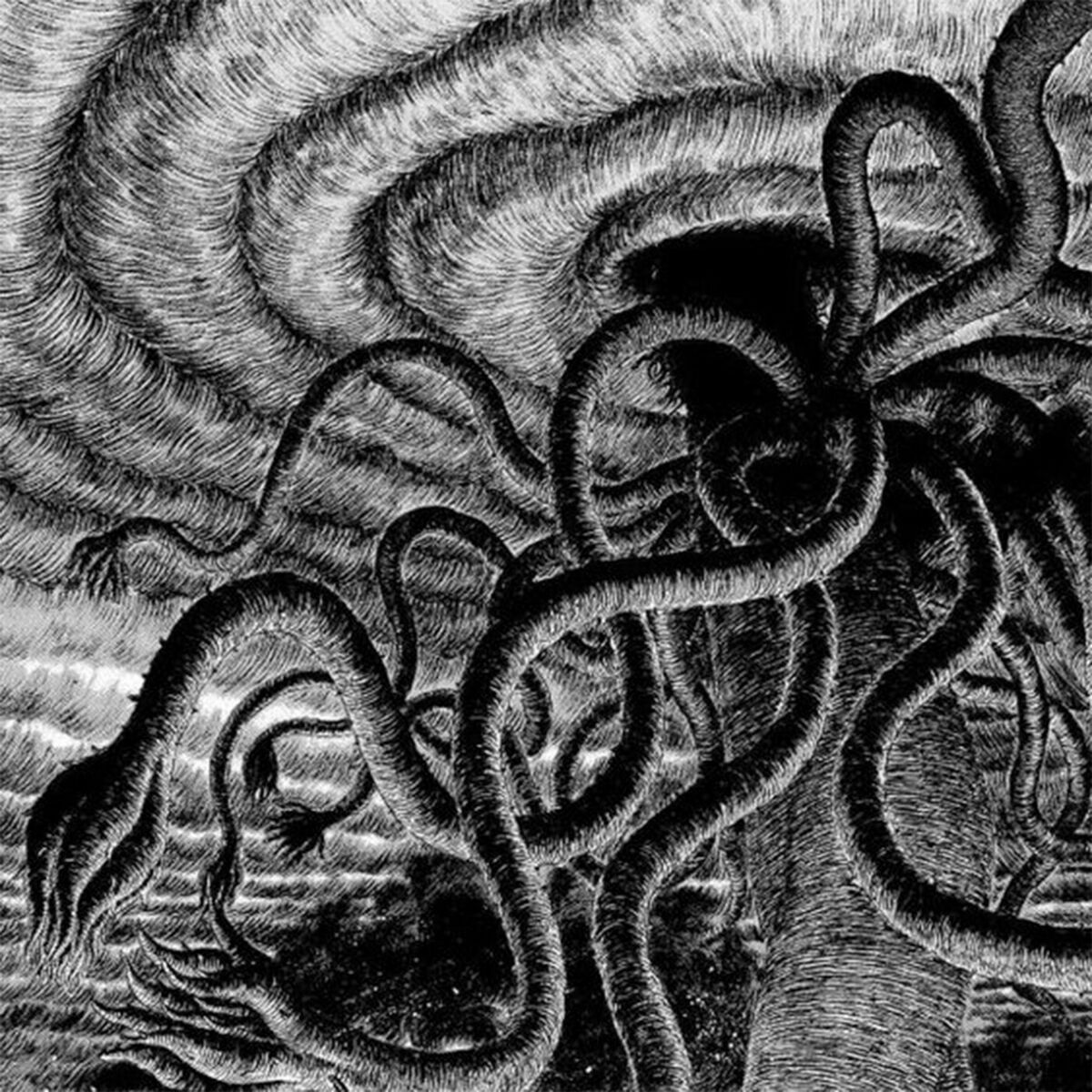 Album cover of coqueta
