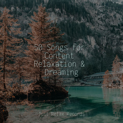 50 Songs for Content Relaxation & Dreaming