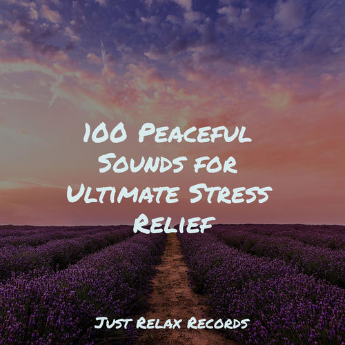 100 Peaceful Sounds for Ultimate Stress Relief