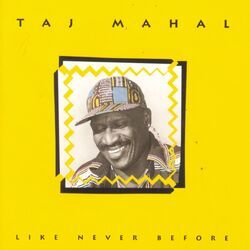 Cover of Like Never Before