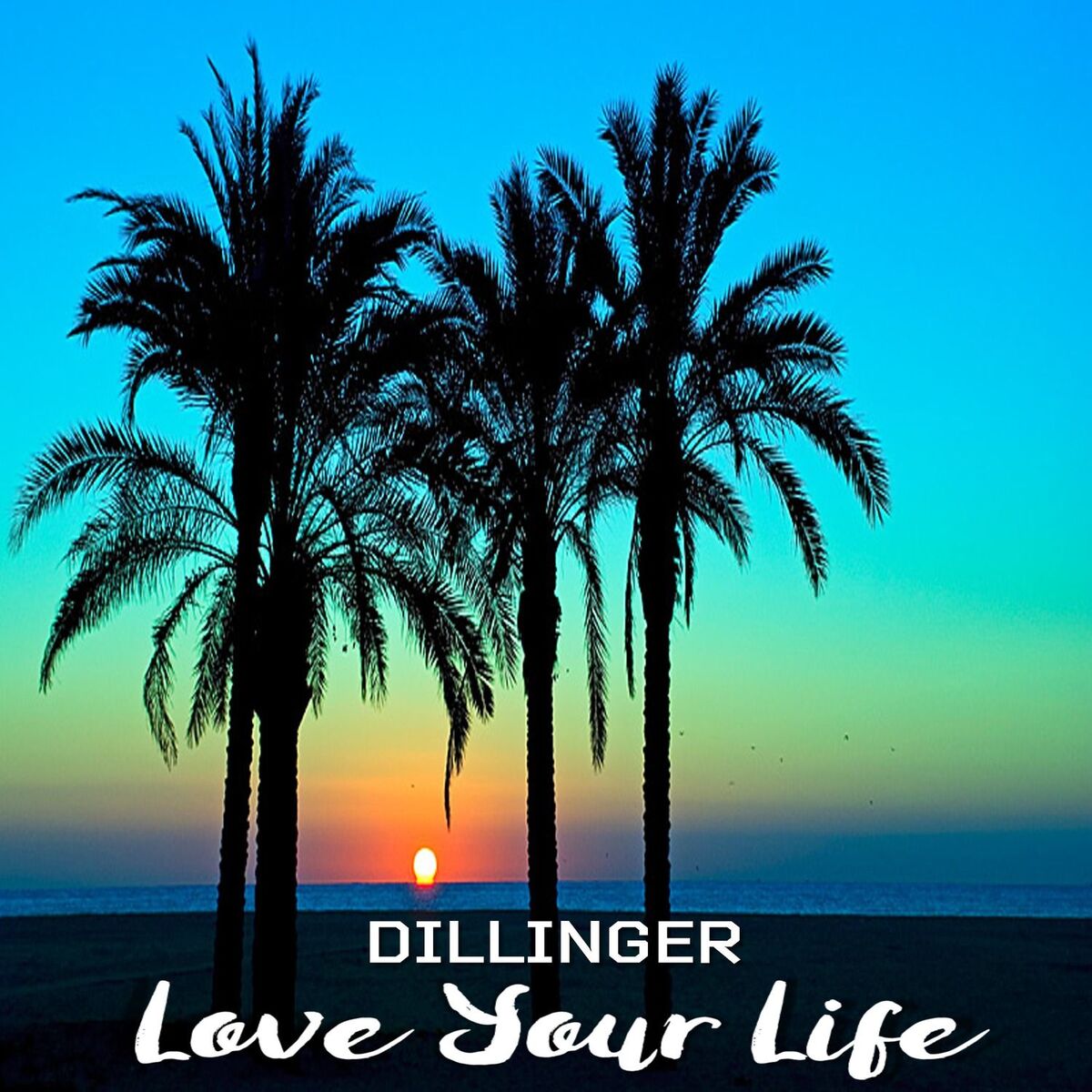 Album cover of Love Your Life