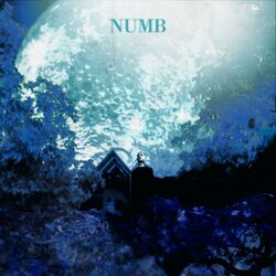 Cover of Numb