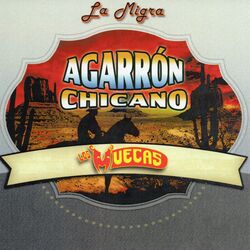 Cover of Agarron Chicno