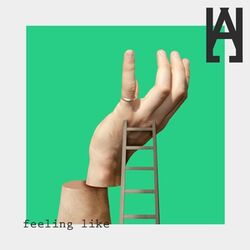Cover of Feeling Like
