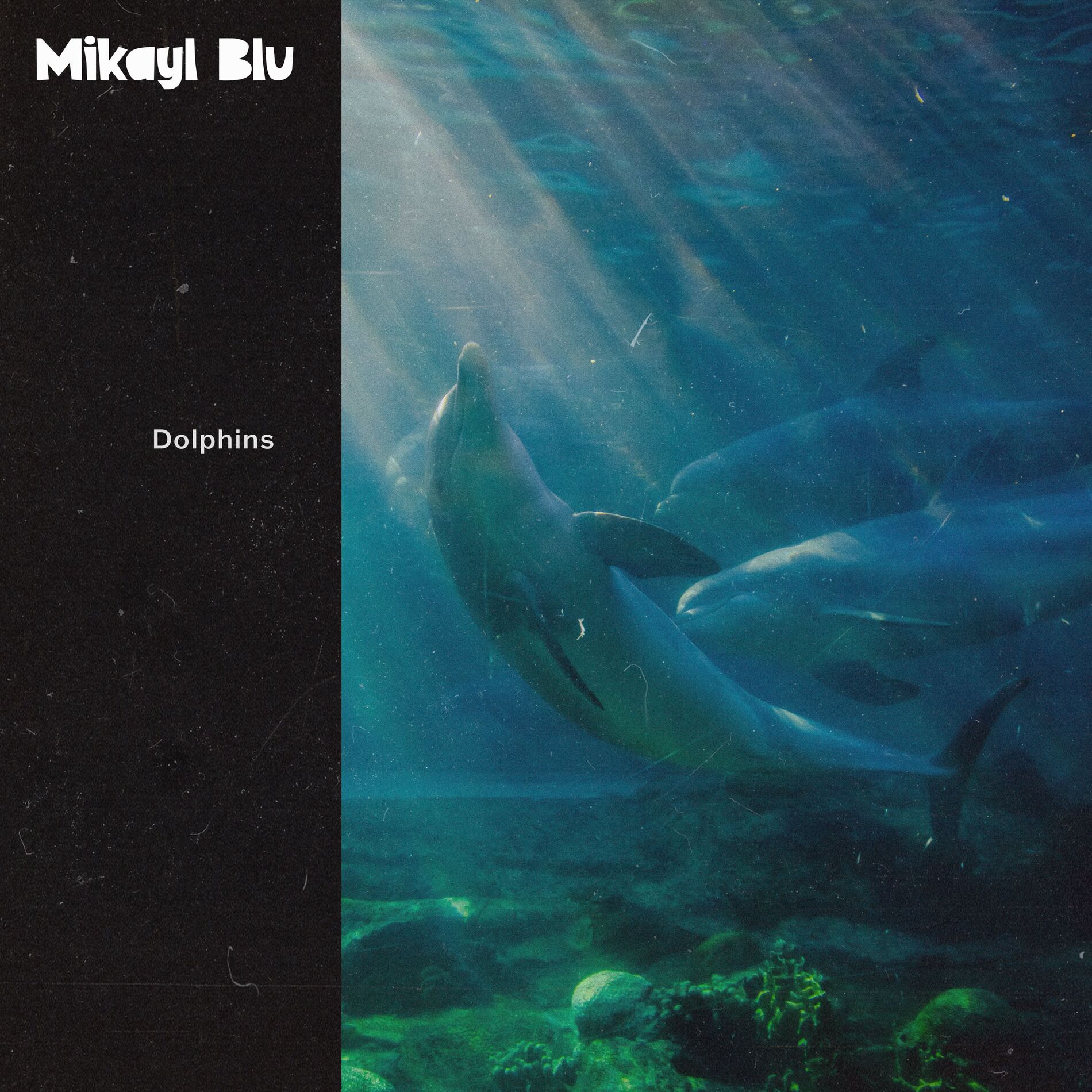 Album cover of Dolphins
