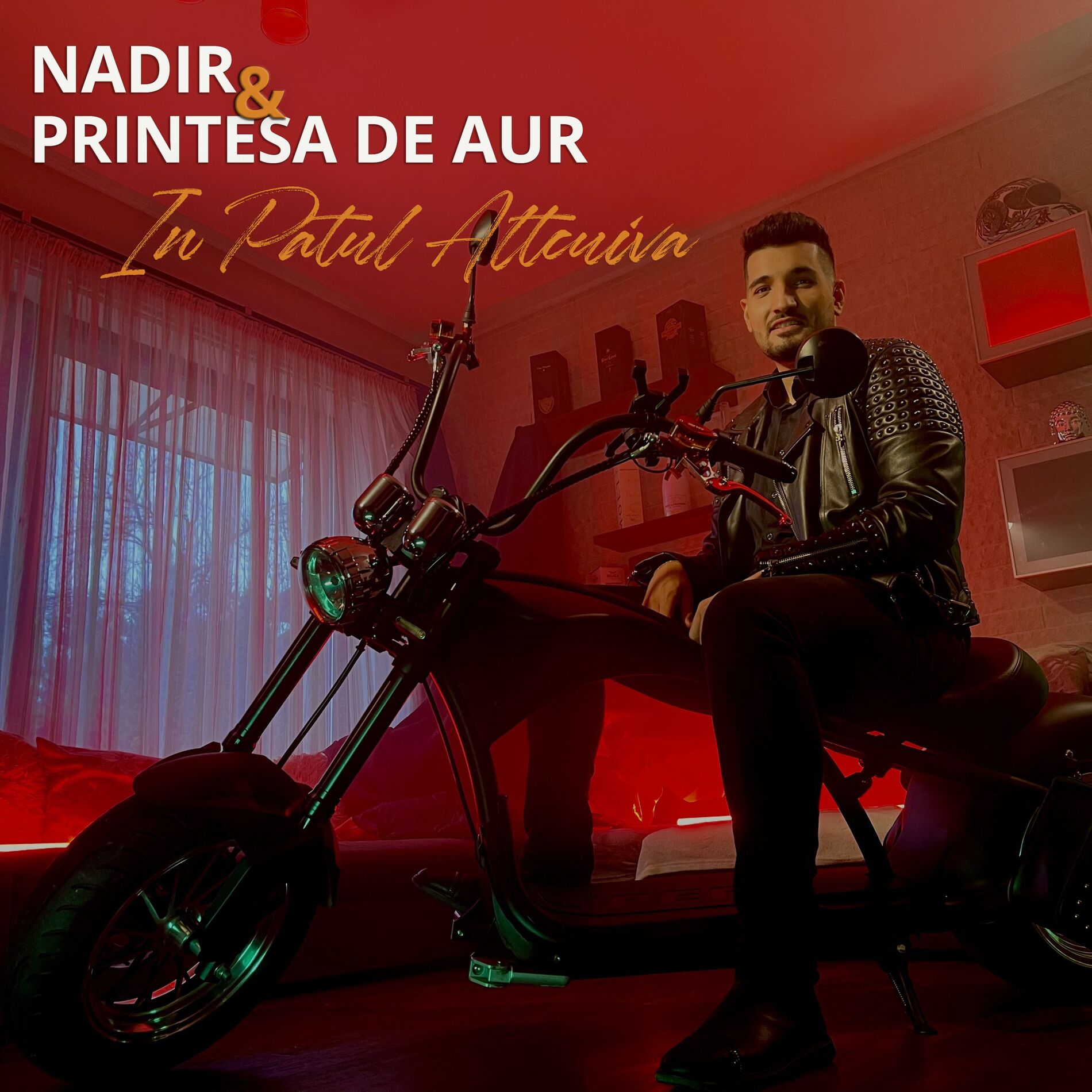 Album cover of In Patul Altcuiva