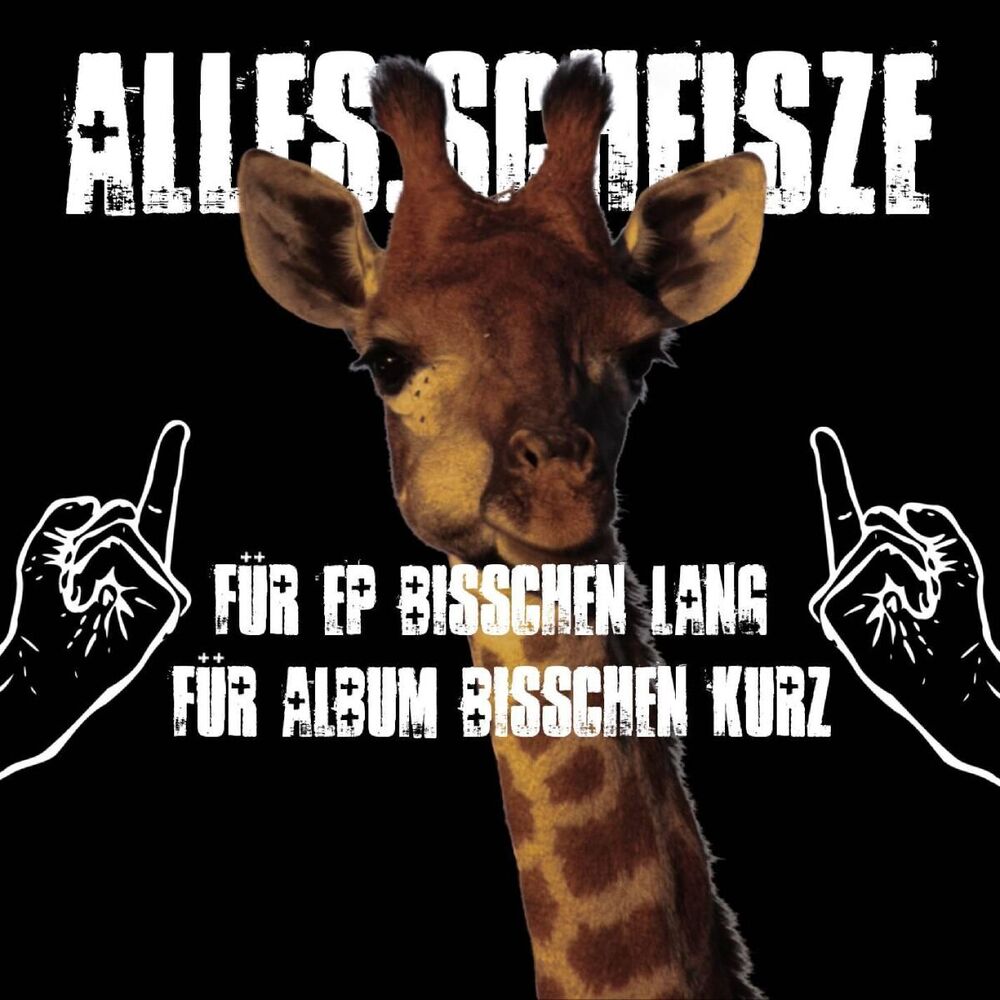 Picture of Für EP Bisschen Lang Für Album Bisschen Kurz