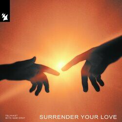 Cover of Surrender Your Love