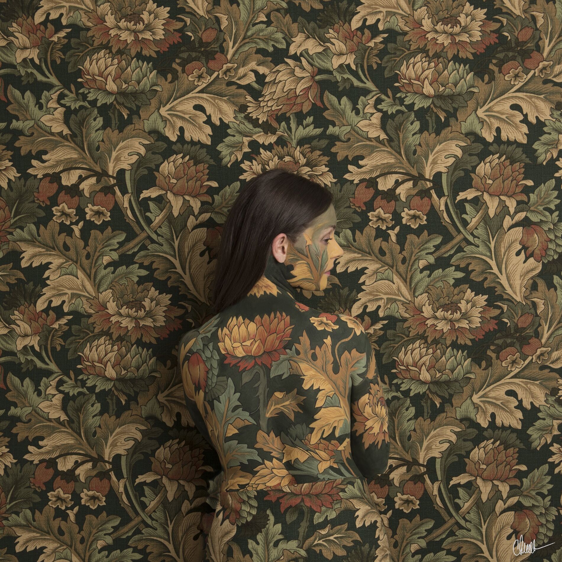 Album cover of In Plain Sight
