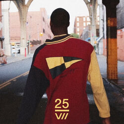 Cover of 25