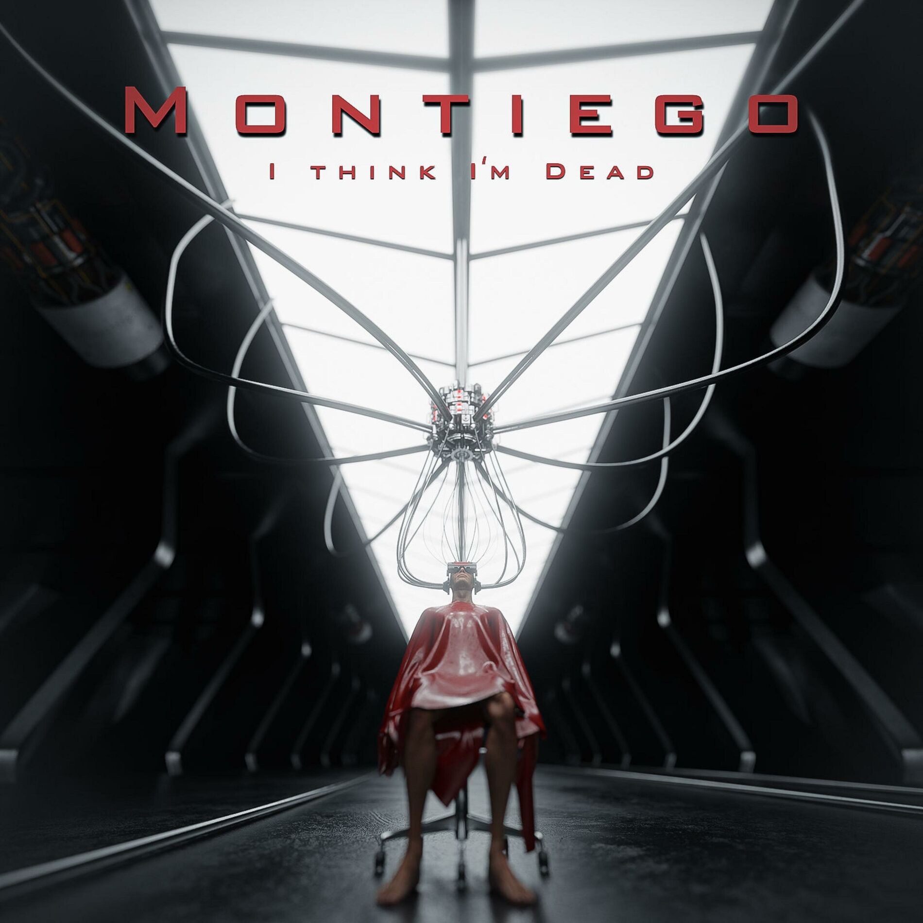 Album cover of I Think I'm Dead