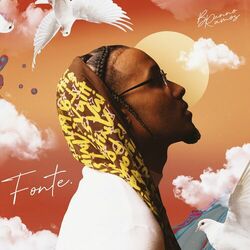 Cover of Fonte