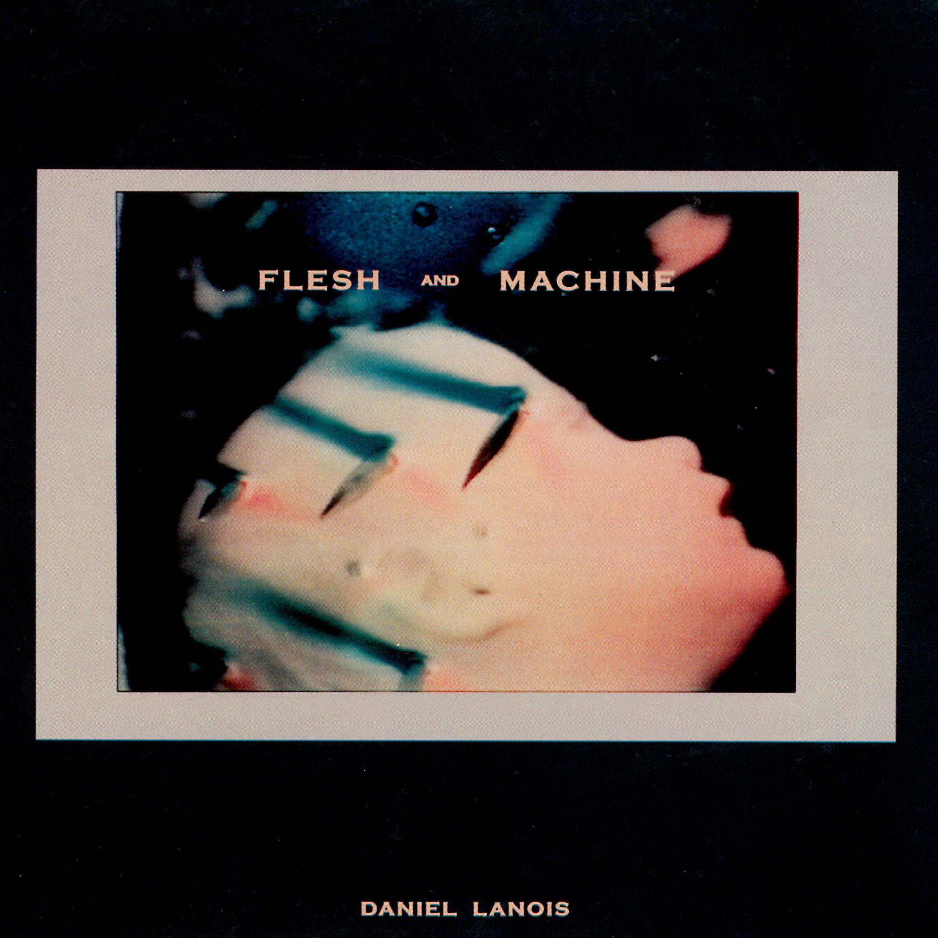 Album cover of Flesh And Machine