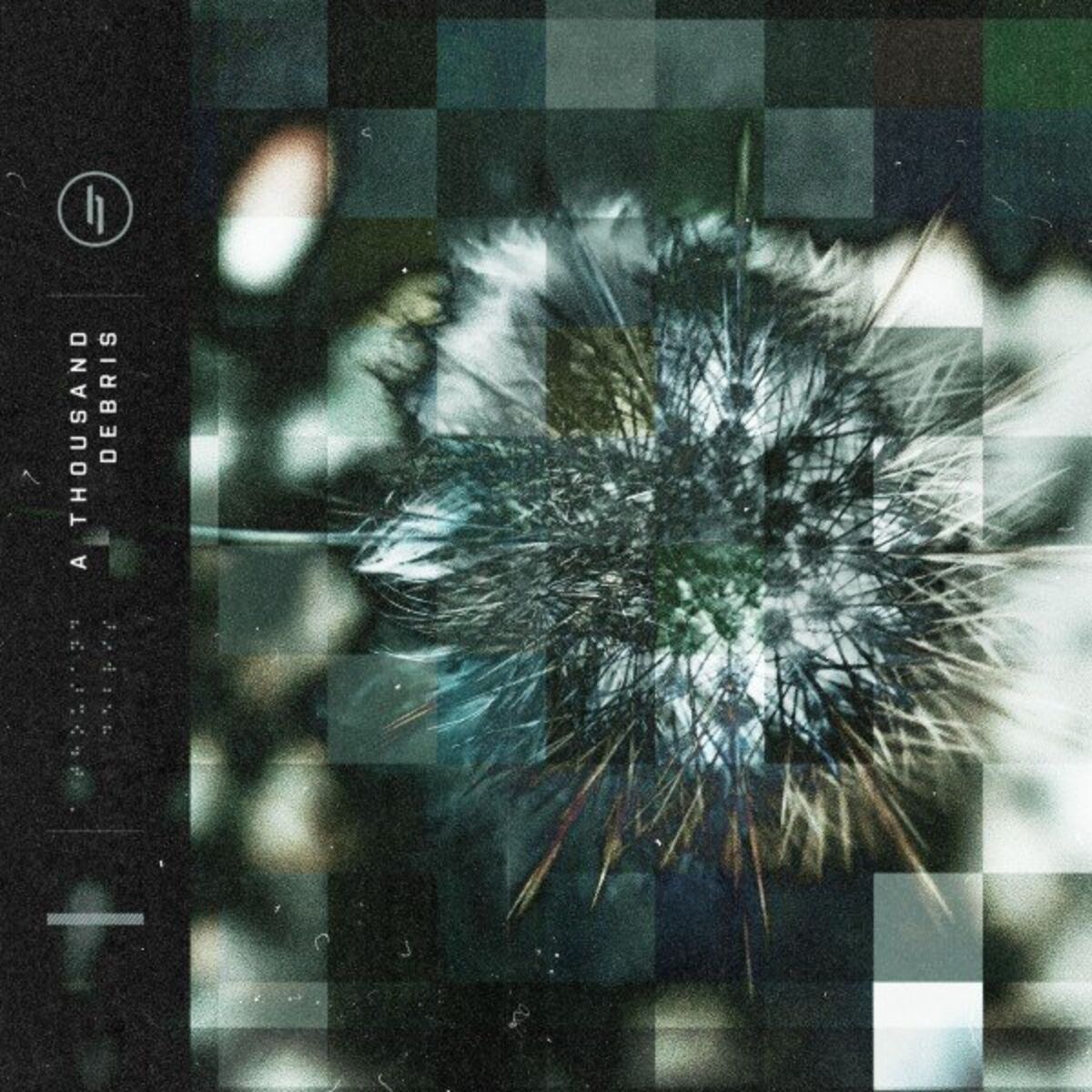 Album cover of A Thousand Debris