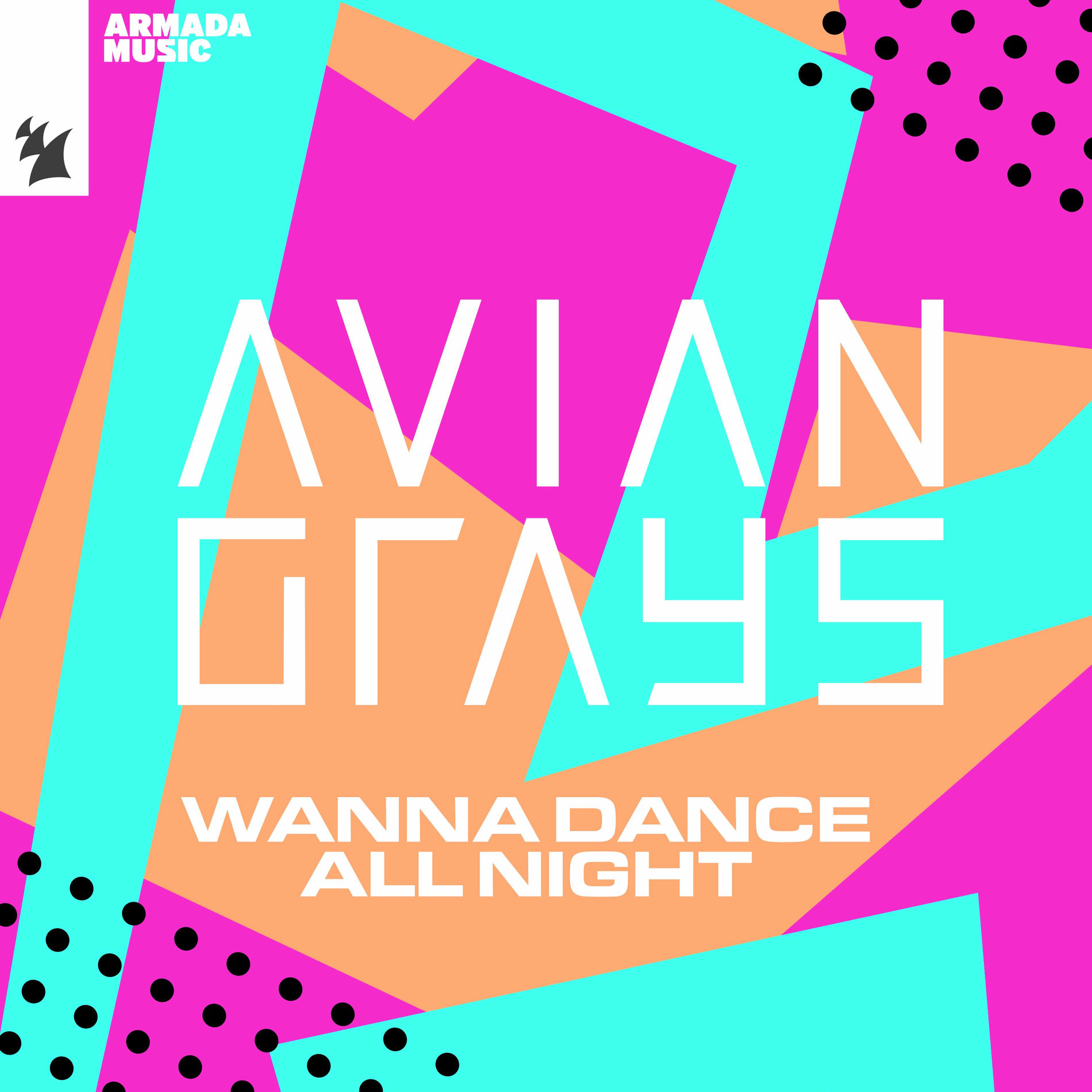 Album cover of Wanna Dance All Night