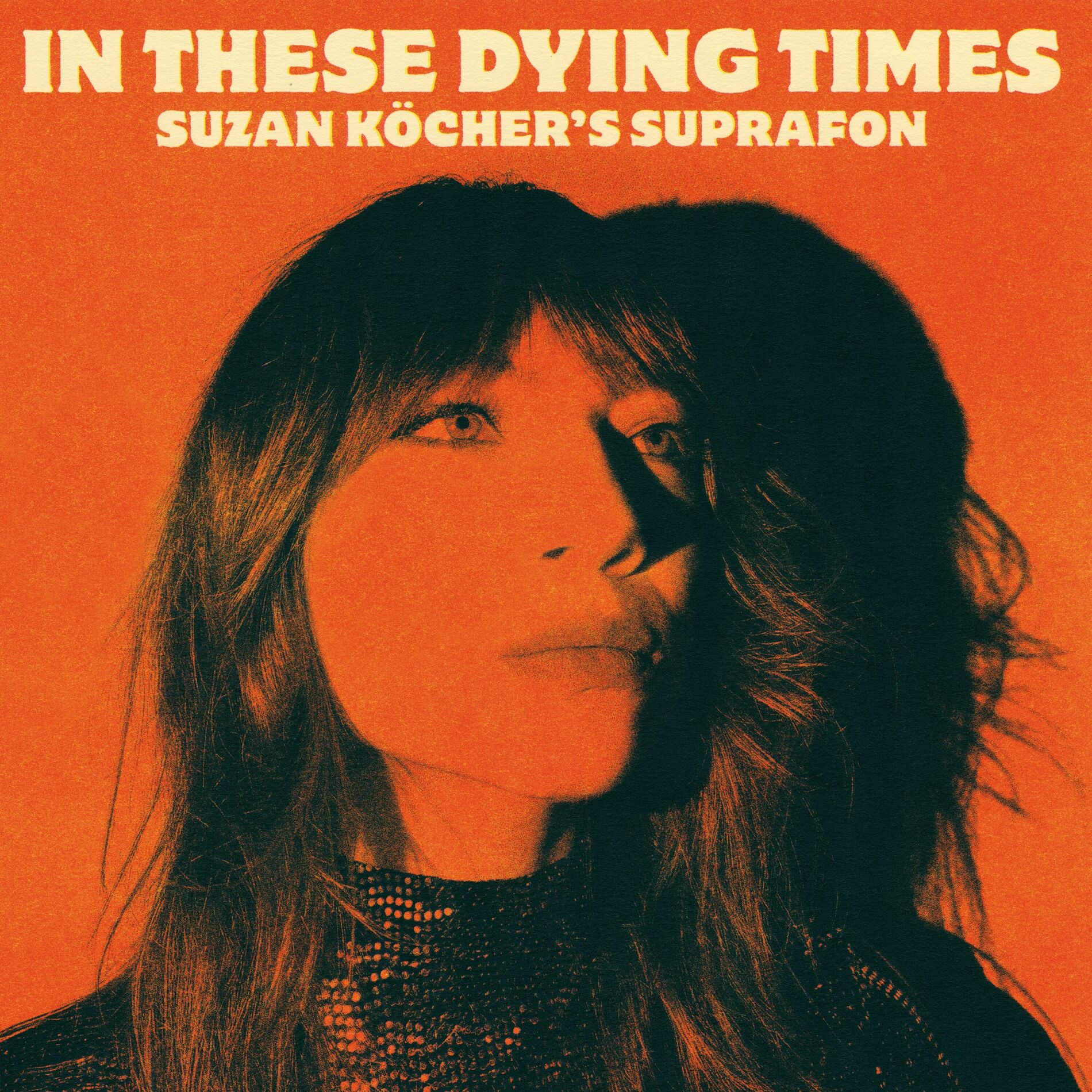 Album cover of In These Dying Times