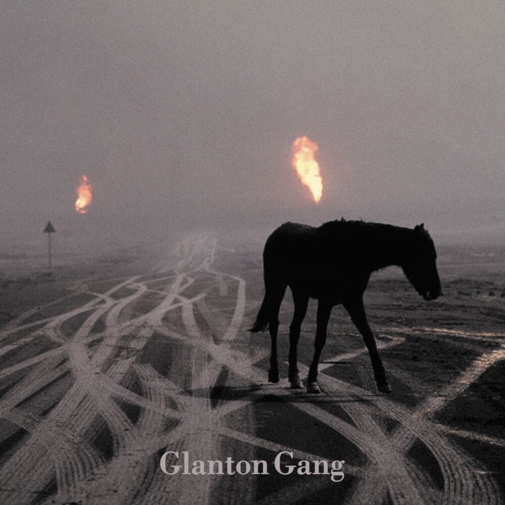 Picture of Glanton Gang