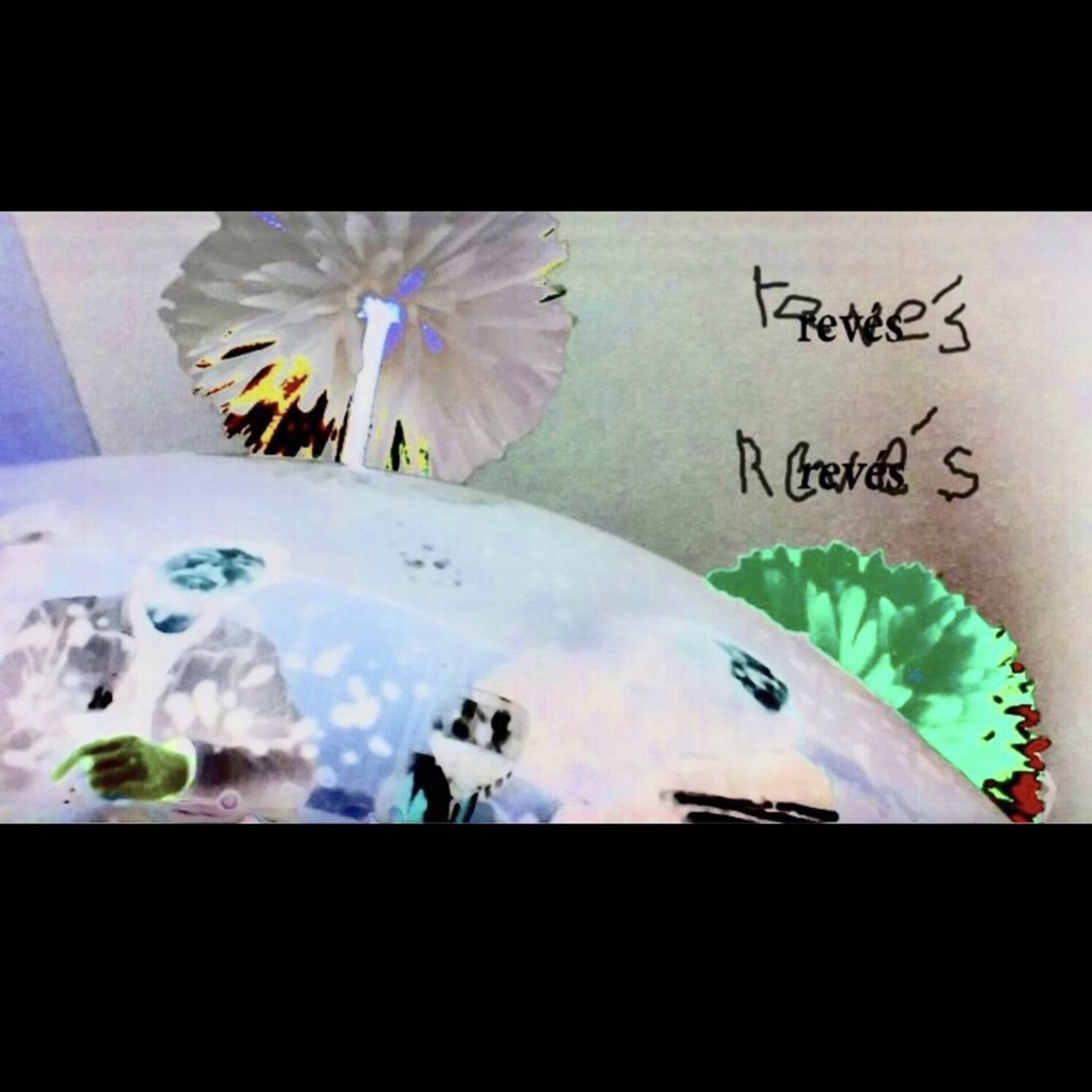 Album cover of las perros/ fall of