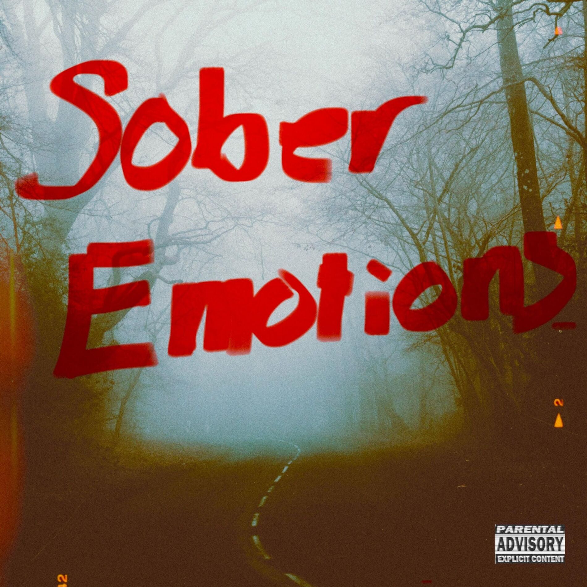 Album cover of Sober Emotions