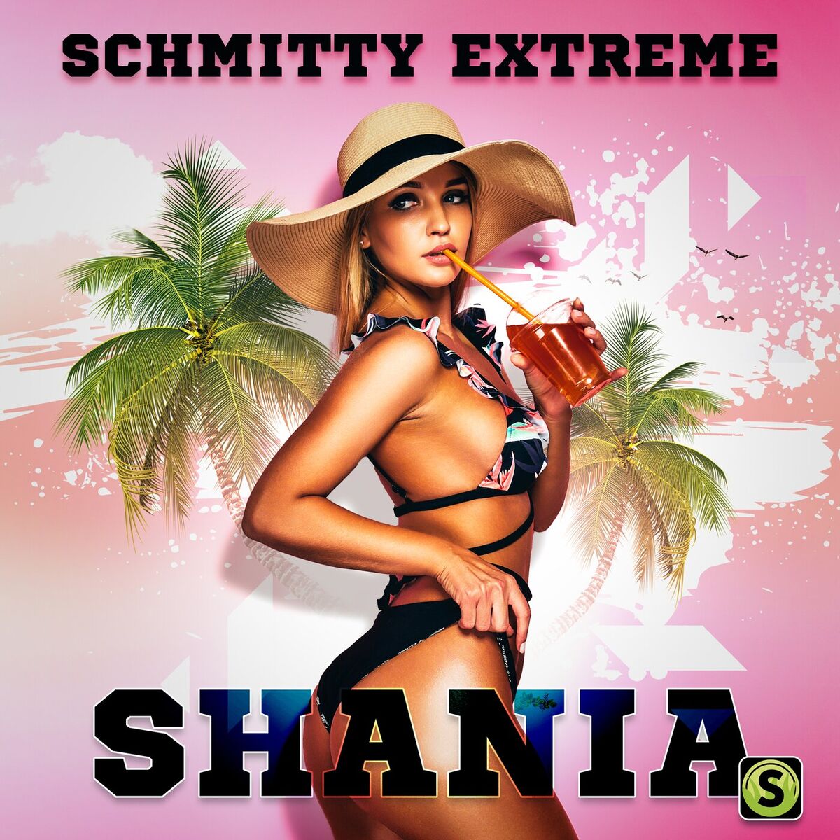 Album cover of Shania