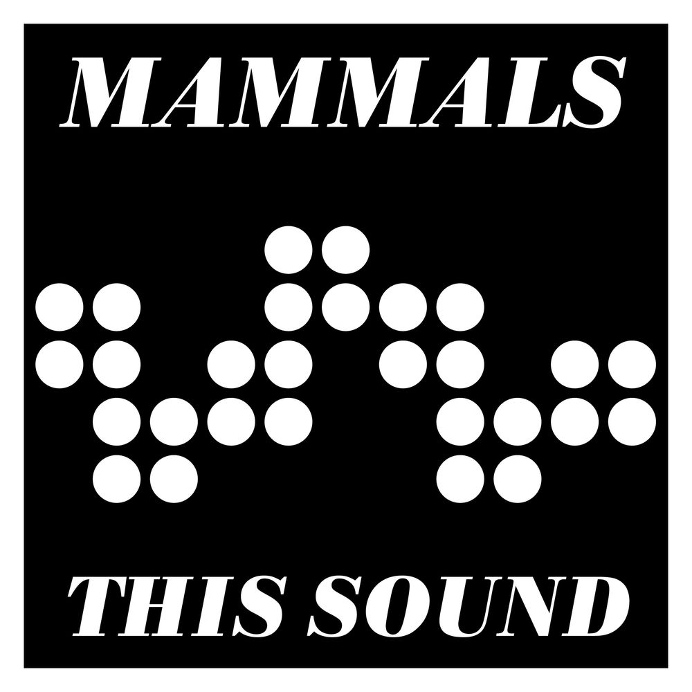 Album artwork for No Easy Way by Mammals