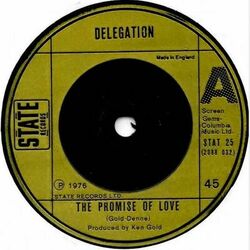 Cover of The Promise of Love