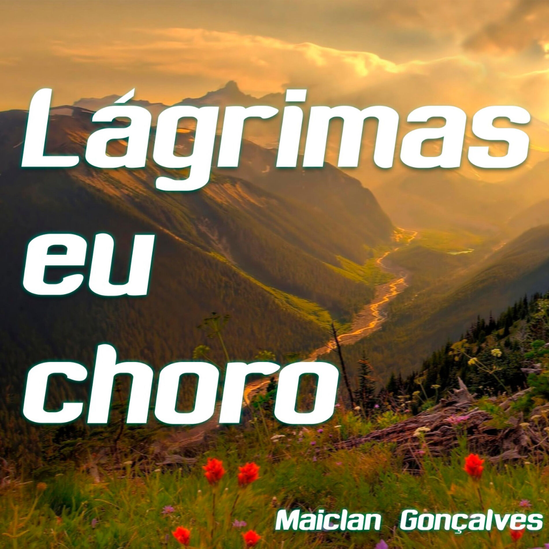 Album cover of Lágrimas Eu Choro