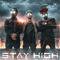 Cover of Stay High