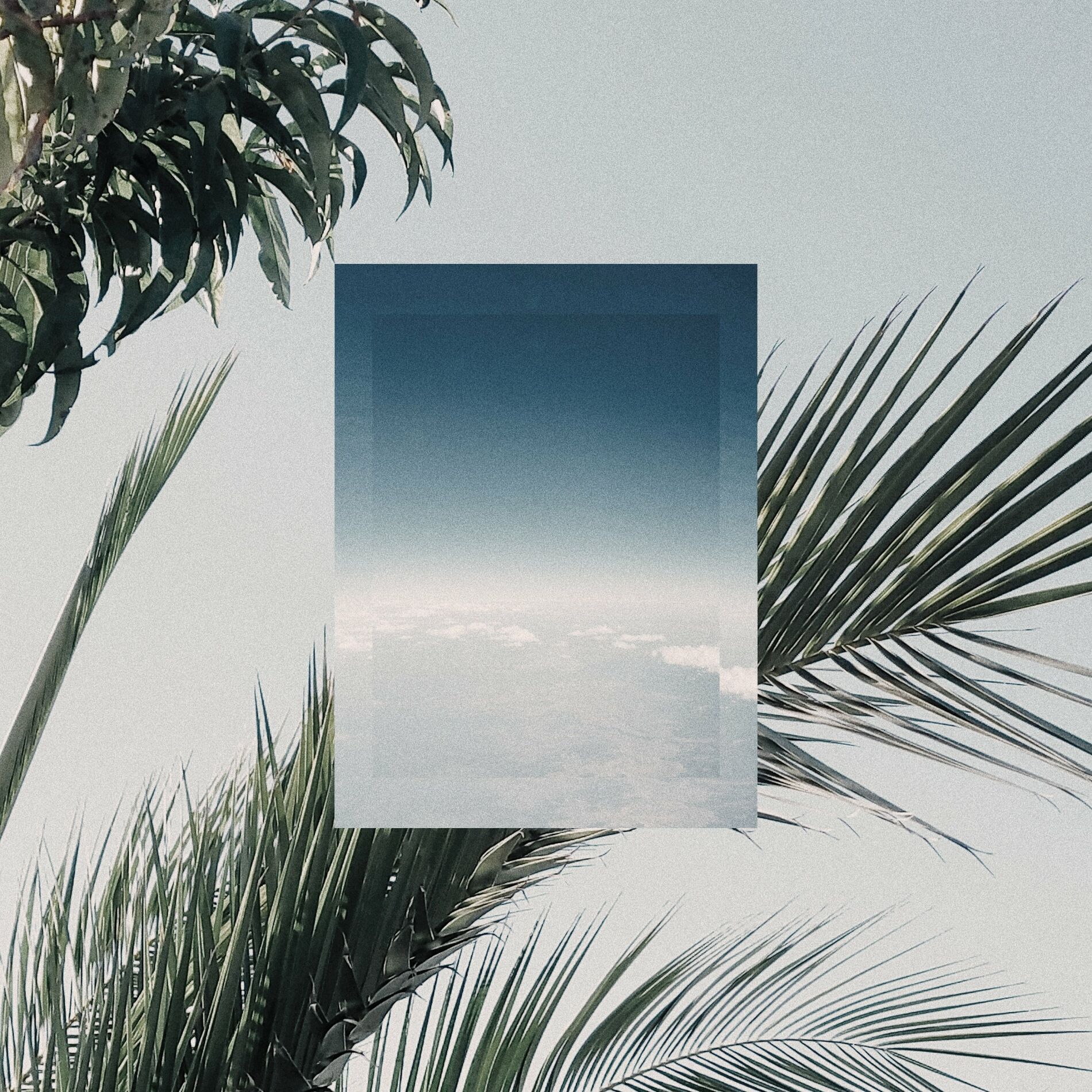 Album cover of In Flight