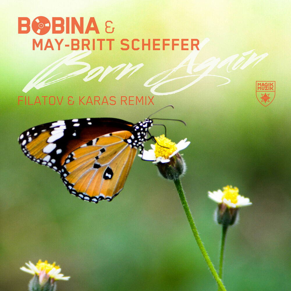 Picture of Born Again (Filatov & Karas Remix)