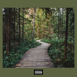 Cover of Live