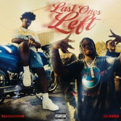 Cover of Last Ones Left