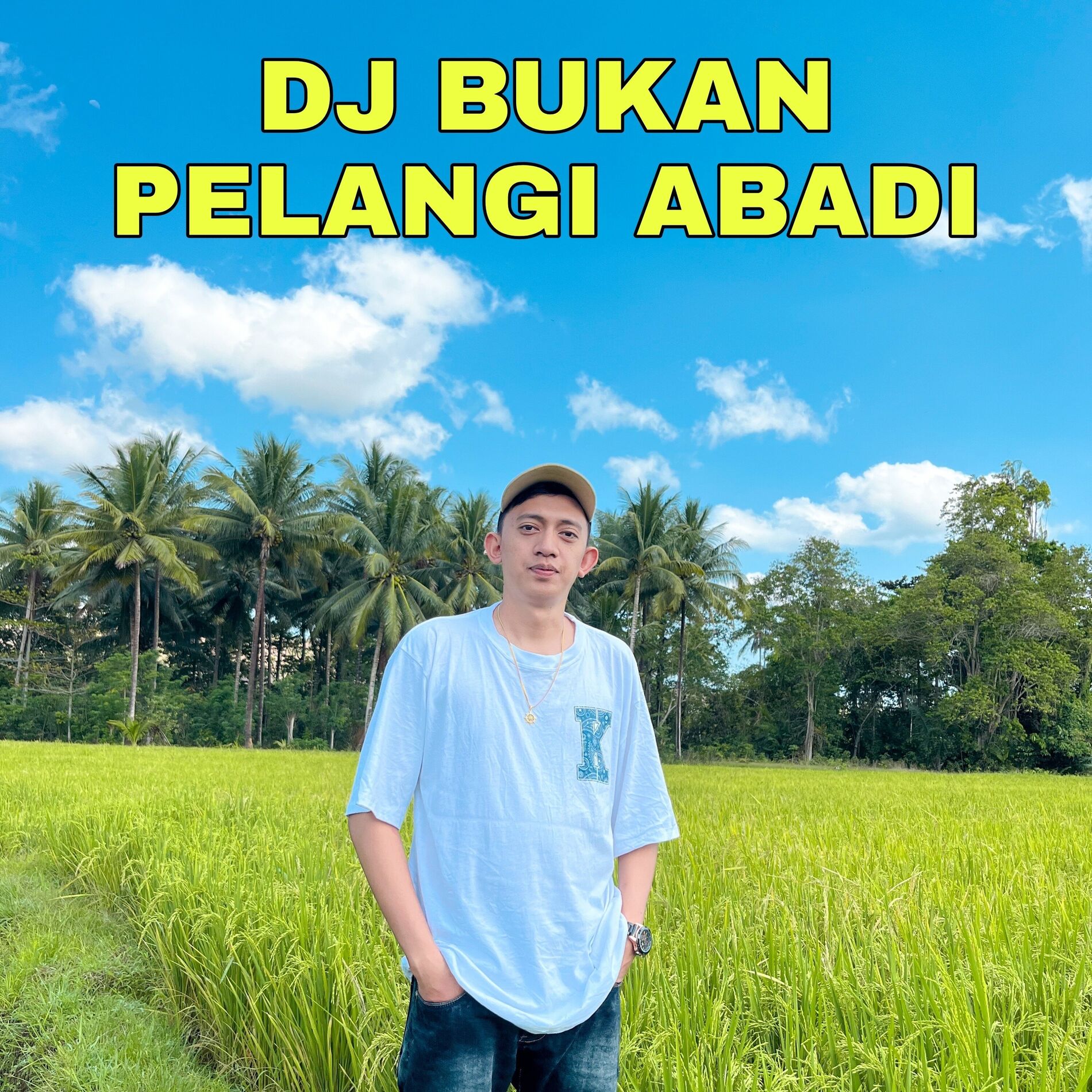 Album cover of Dj Bukan Pelangi Abadi