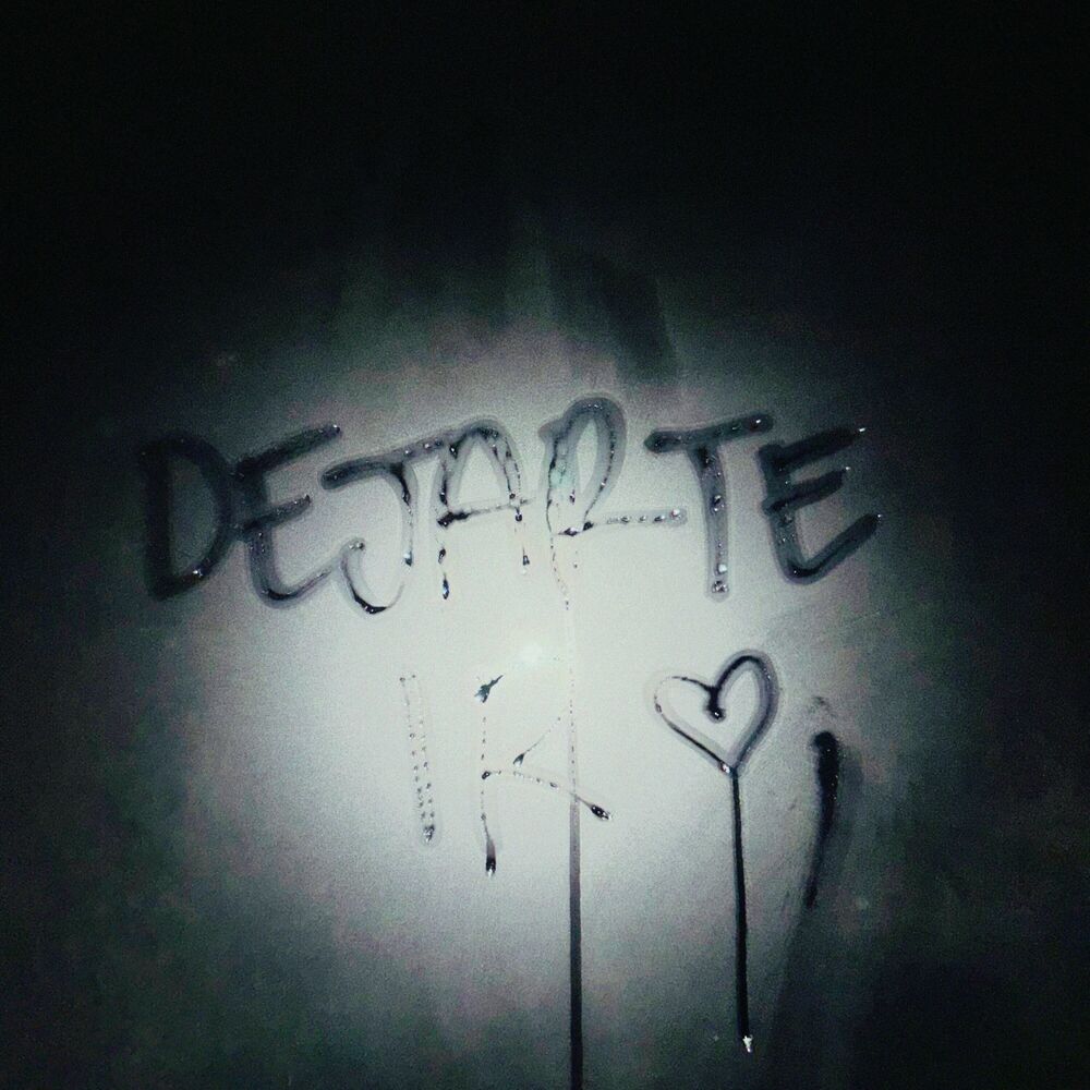 Picture of Dejarte Ir
