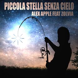 Cover of Piccola stella senza cielo