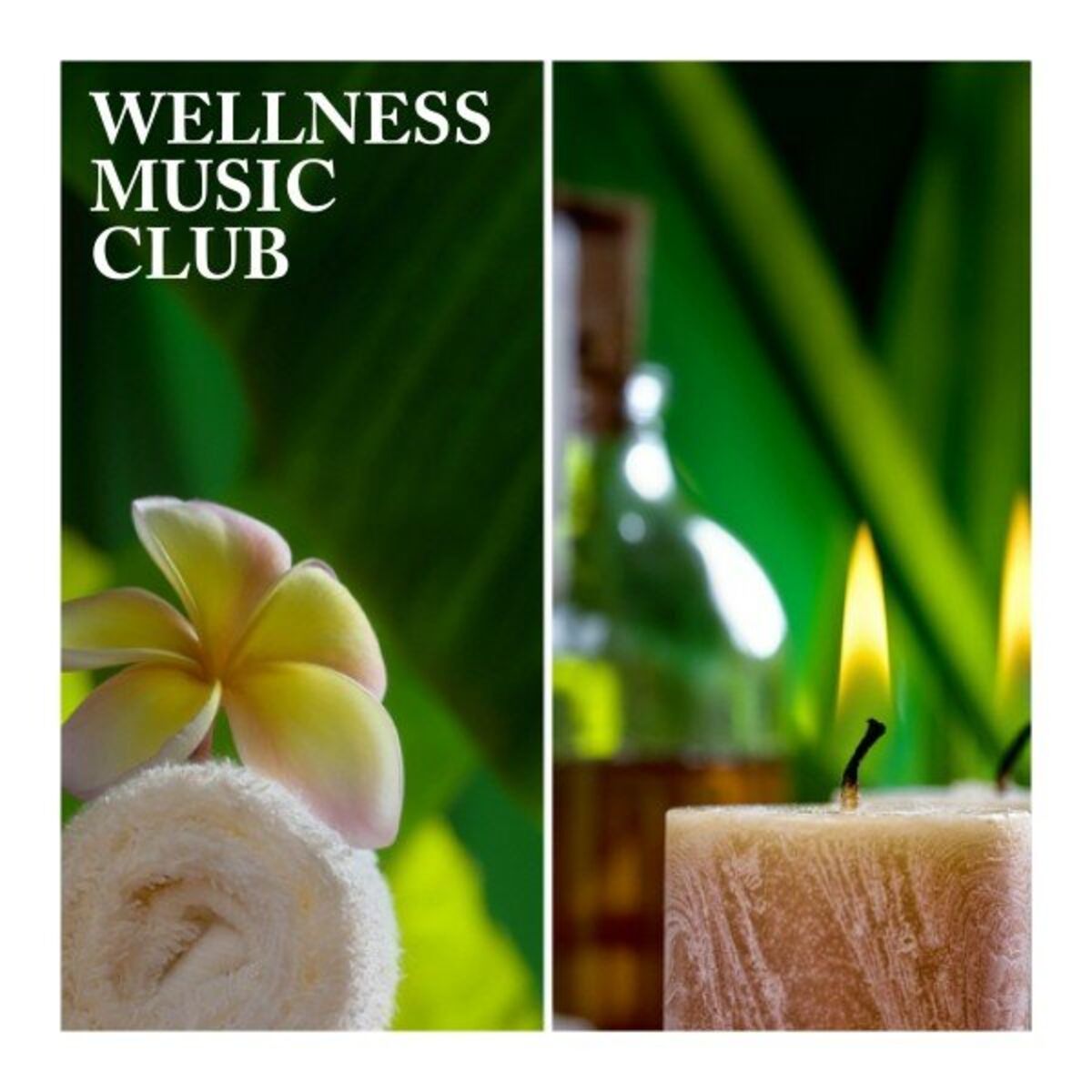 Album cover of Wellness Music Club
