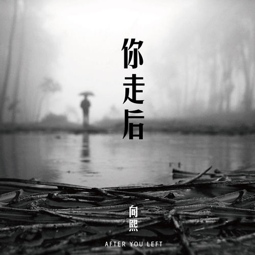 你走后