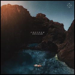 Cover of Freedom