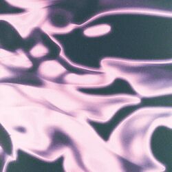 Cover of Circles