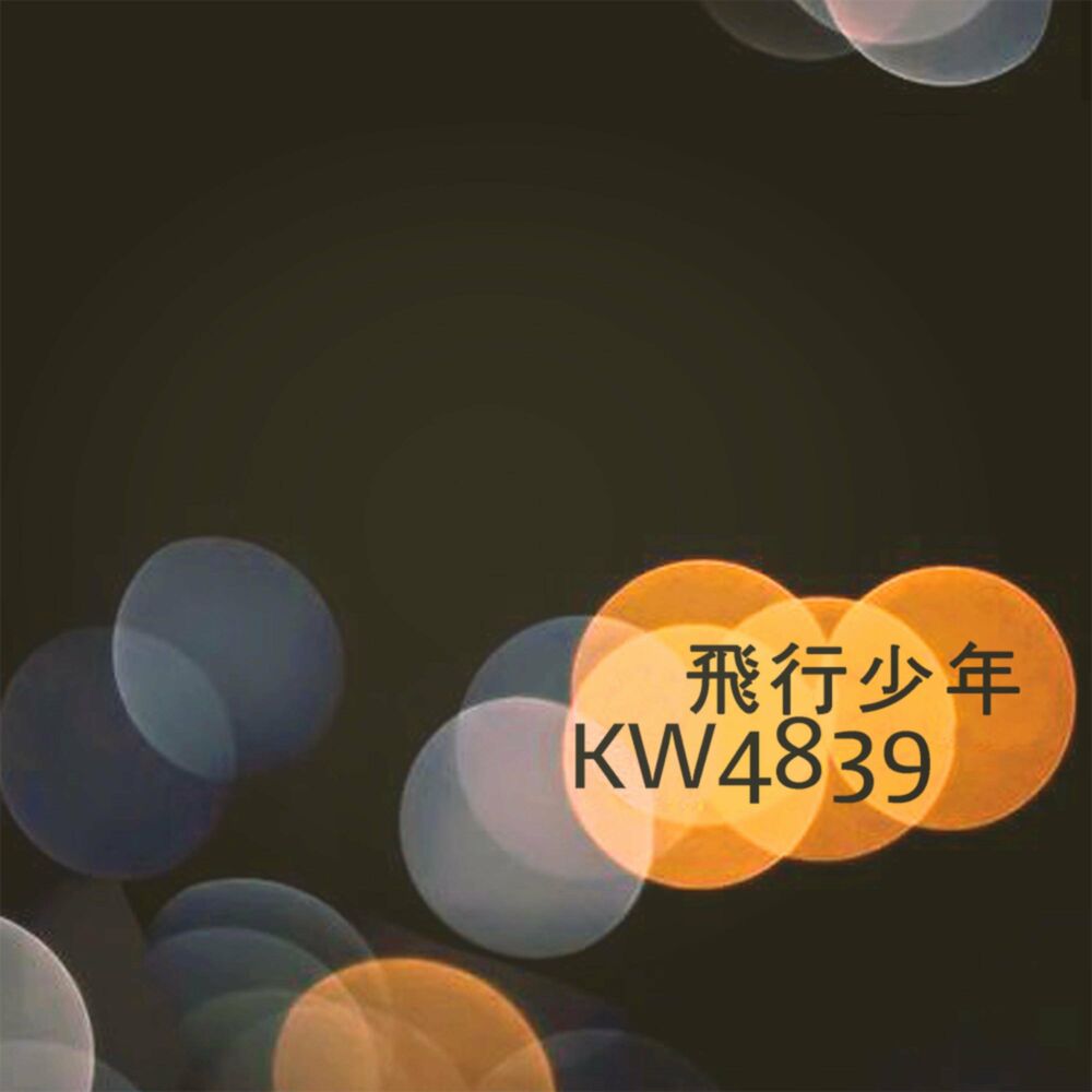 Picture of Flight Boy KW4839