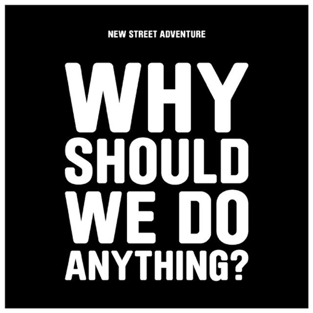 Picture of Why Should We Do Anything?