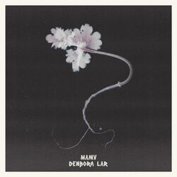 Cover of denbora lar