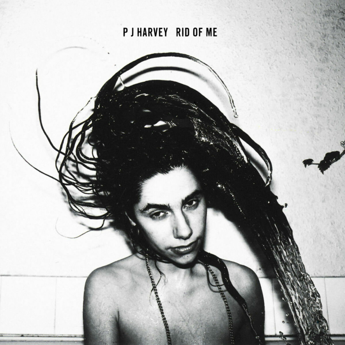 Album cover of 50ft Queenie