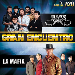 Cover of Gran Encuentro (20 Éxitos Originales)