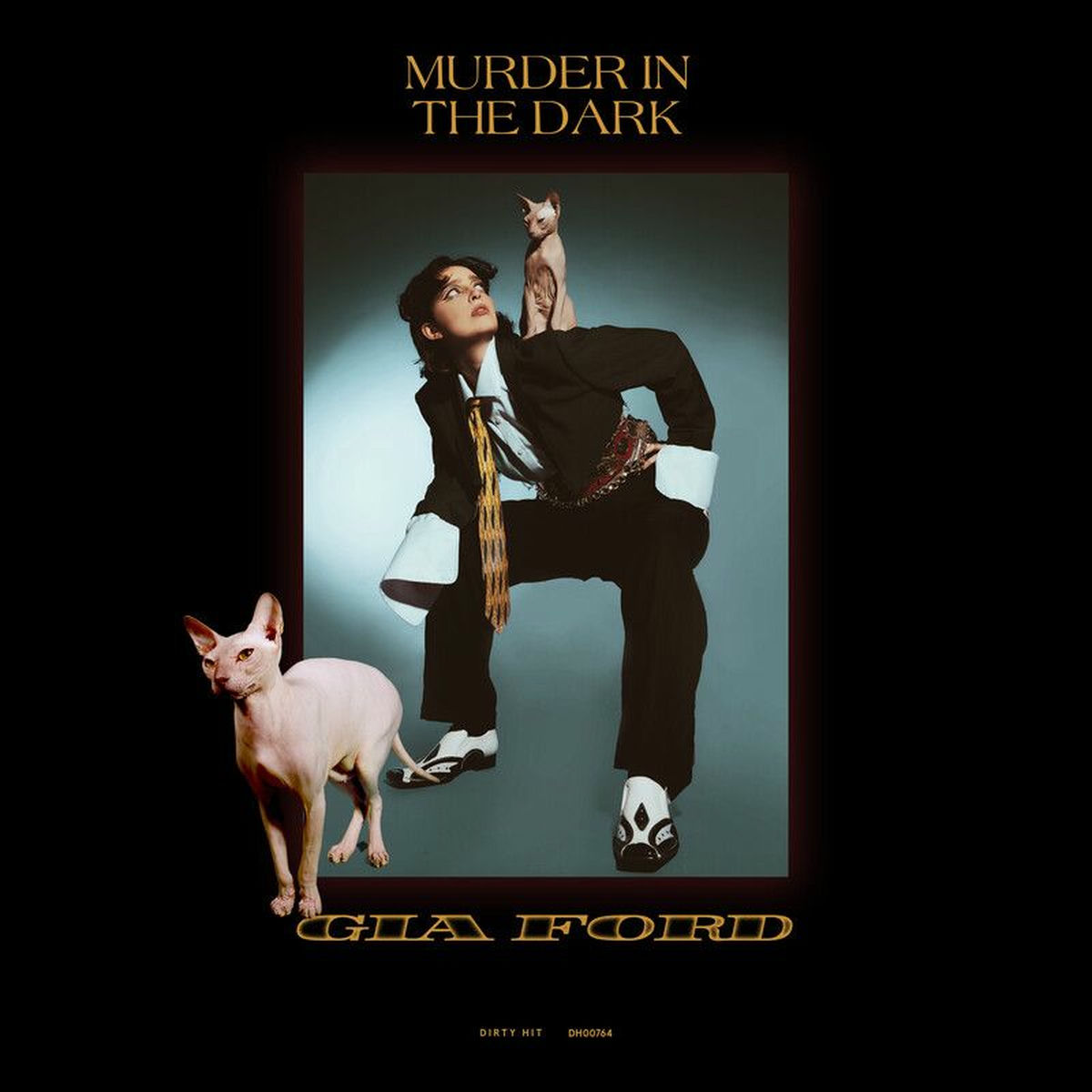 Album cover of Murder In The Dark