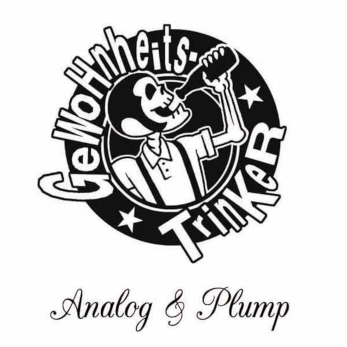 Album cover of Analog & Plump