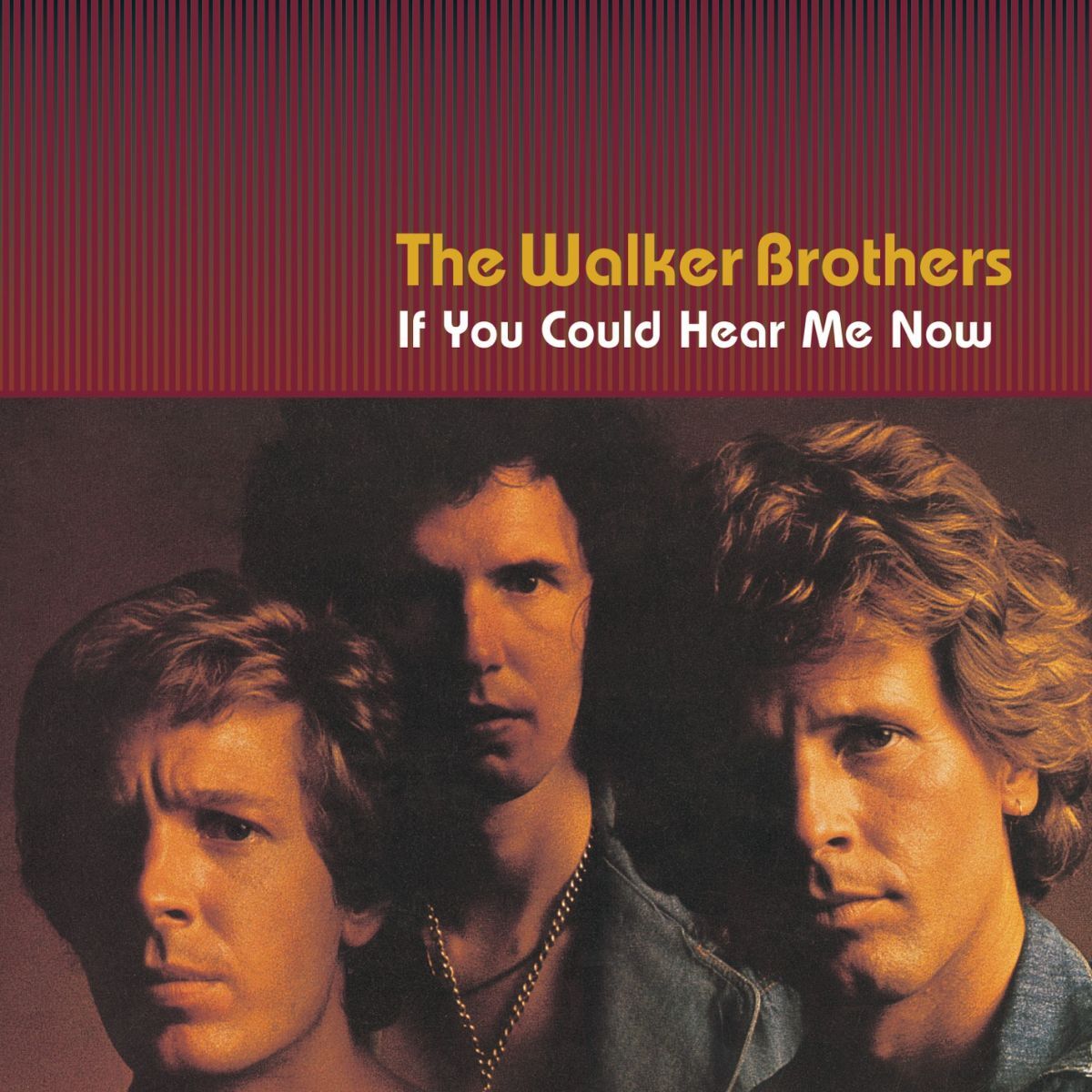 Album cover of If You Could Hear Me Now