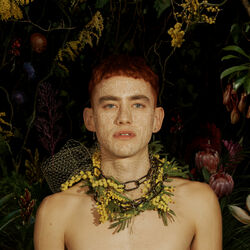 Cover of Palo Santo