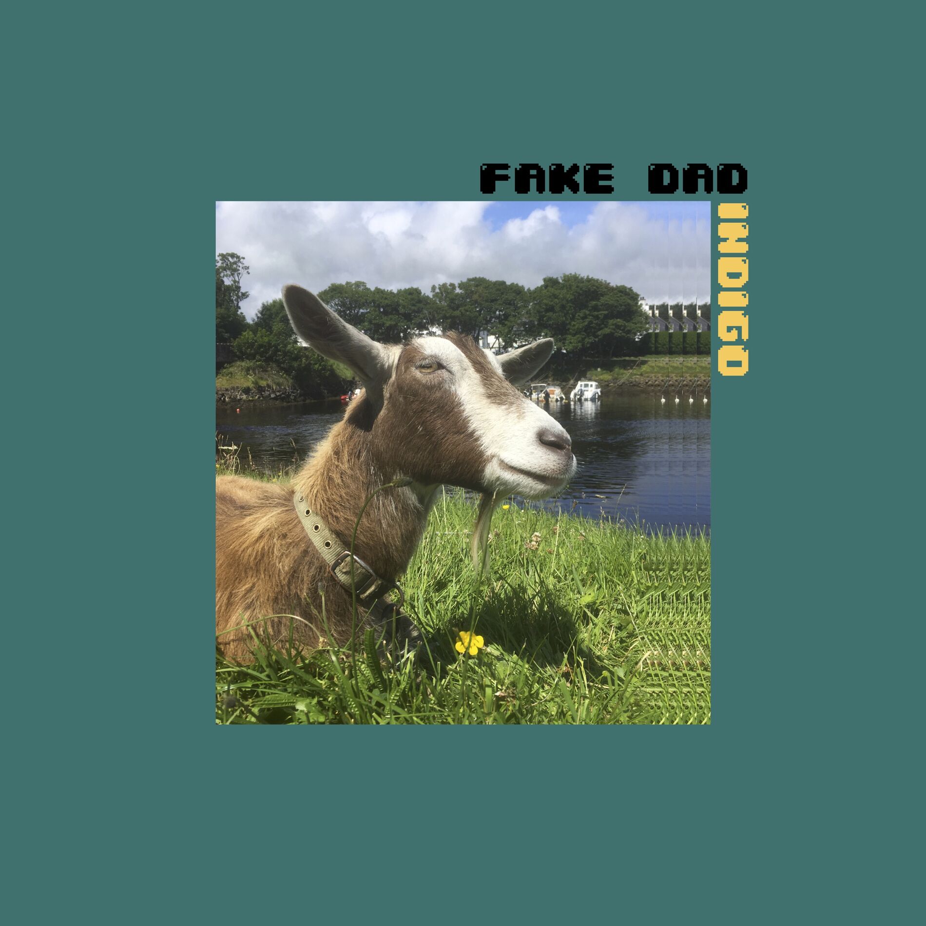 Album cover of Indigo